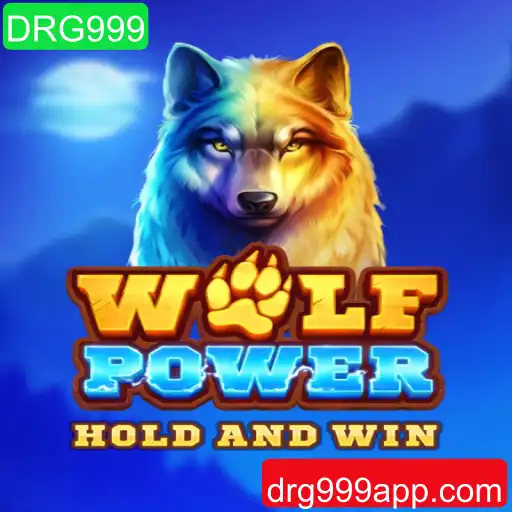Explorando o Universo de WolfPower: Desafios e Estratégias no Mundo Atual